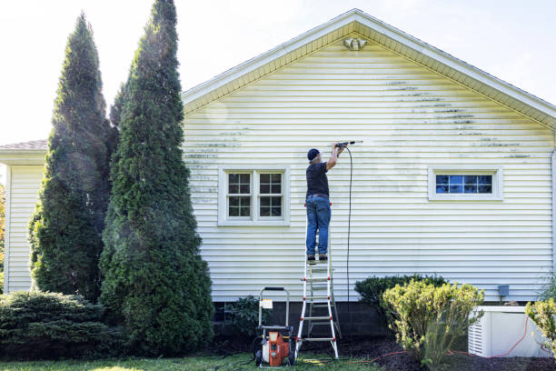 Best Roof Power Washing Services  in New Carlisle, IN