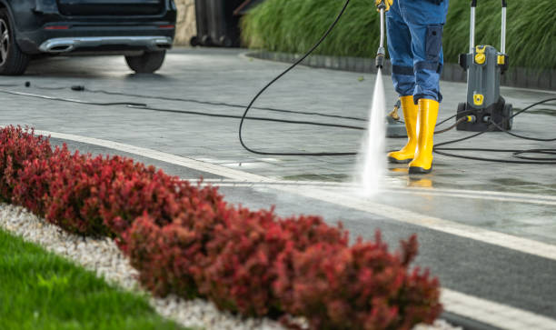 Best Sidewalk Pressure Washing  in New Carlisle, IN